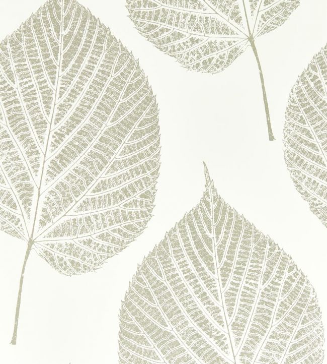 Leaf Wallpaper - White