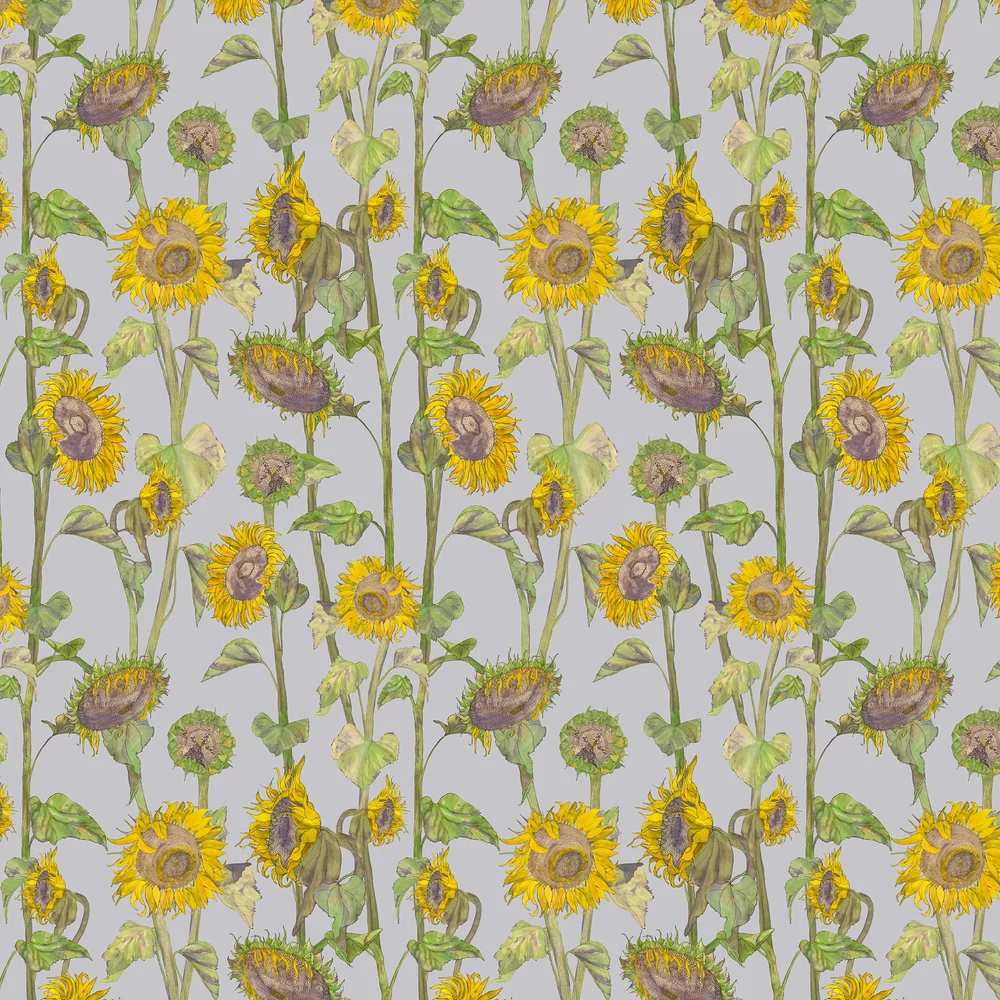 Sunflowers Wallpaper - Green - Petronella Hall