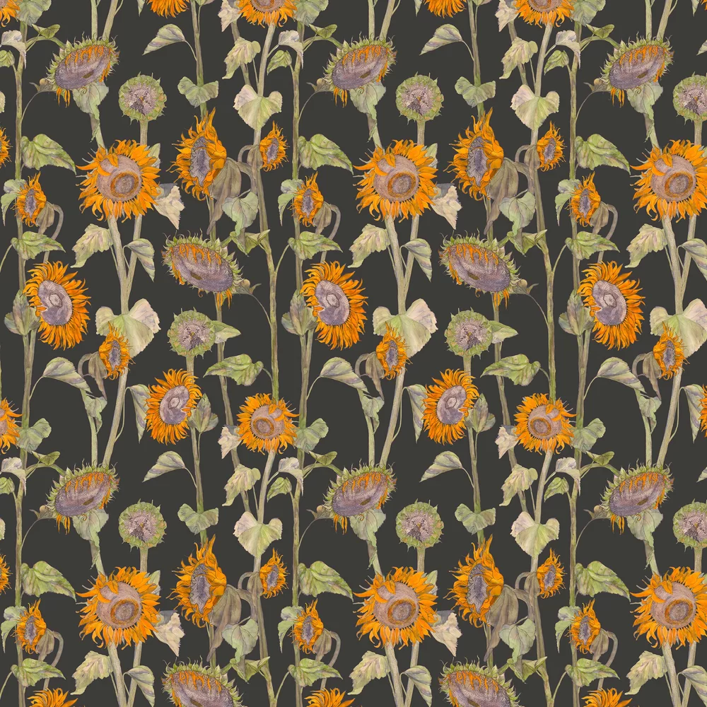 Sunflowers Wallpaper - Black - Petronella Hall