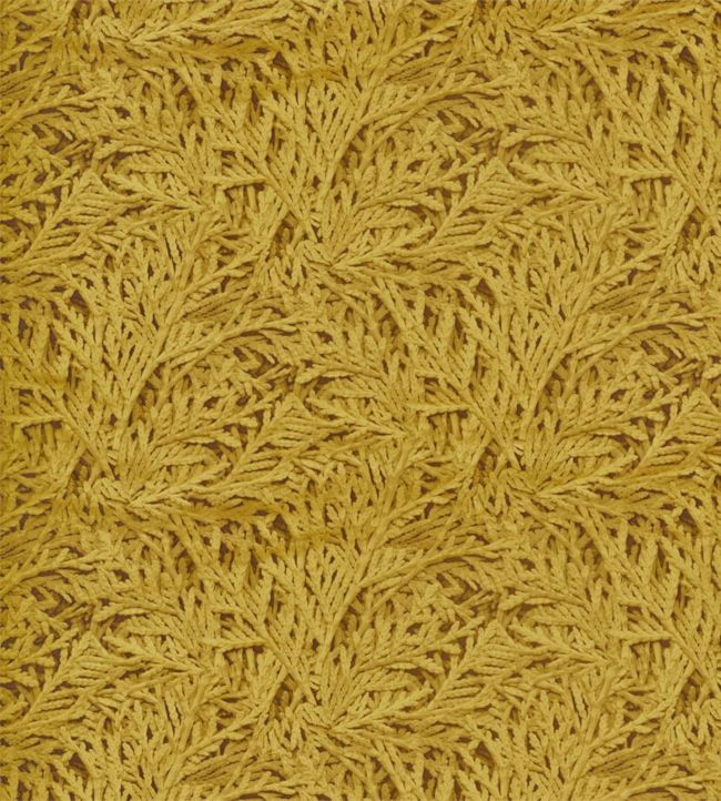 Nootka Fabric - Gold - Zoffany