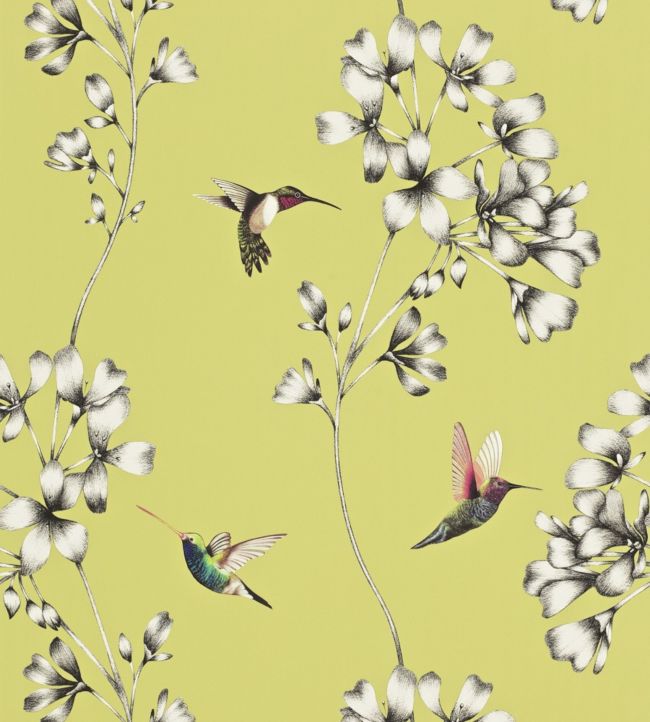 Amazilia Wallpaper - Gooseberry - HAMA111061 - Harlequin