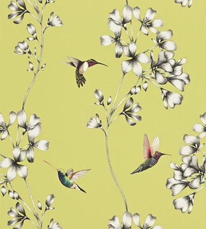 Amazilia Wallpaper - Gooseberry - HAMA111061 - Harlequin