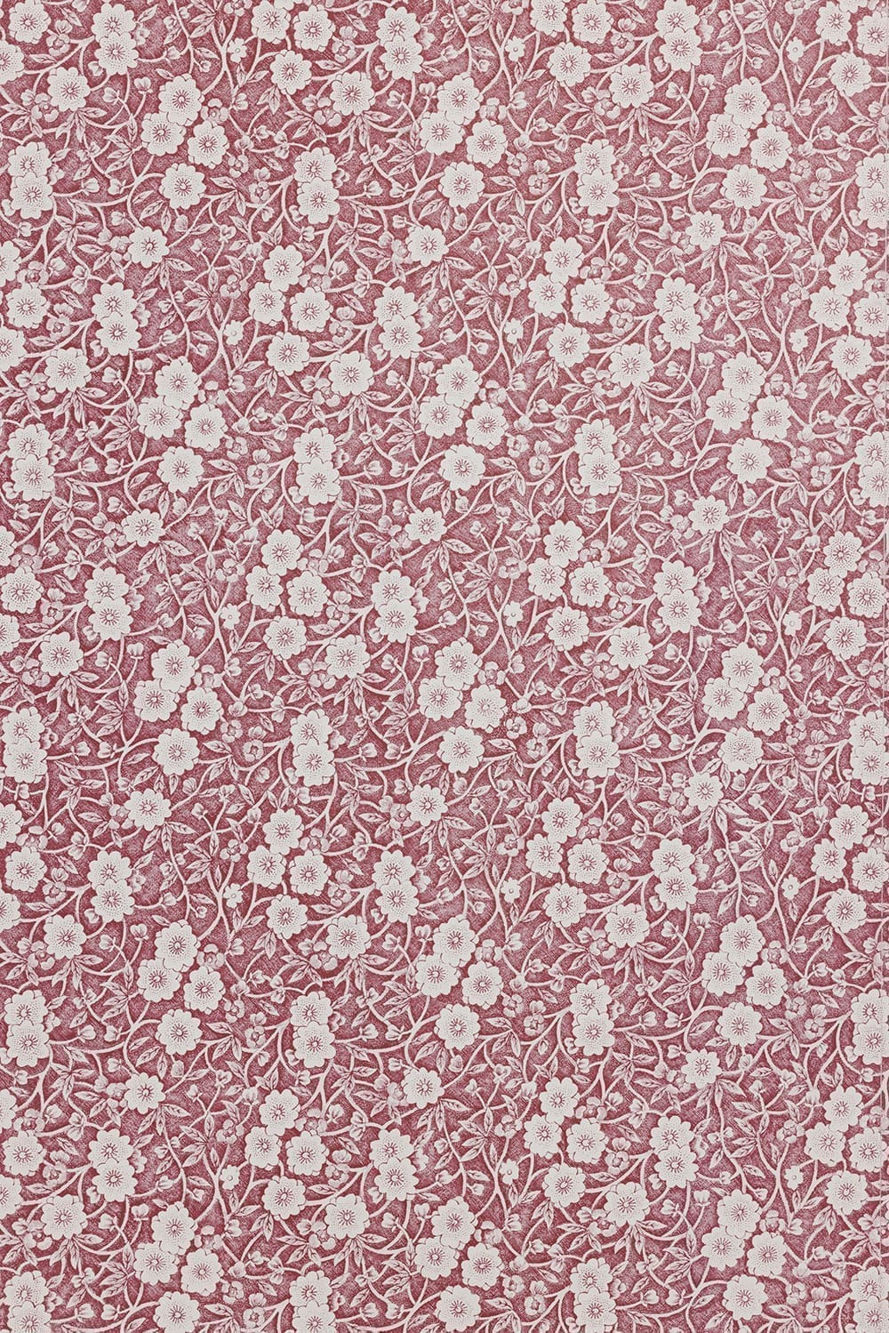 Calico Wallpaper - Pink - Barneby Gates