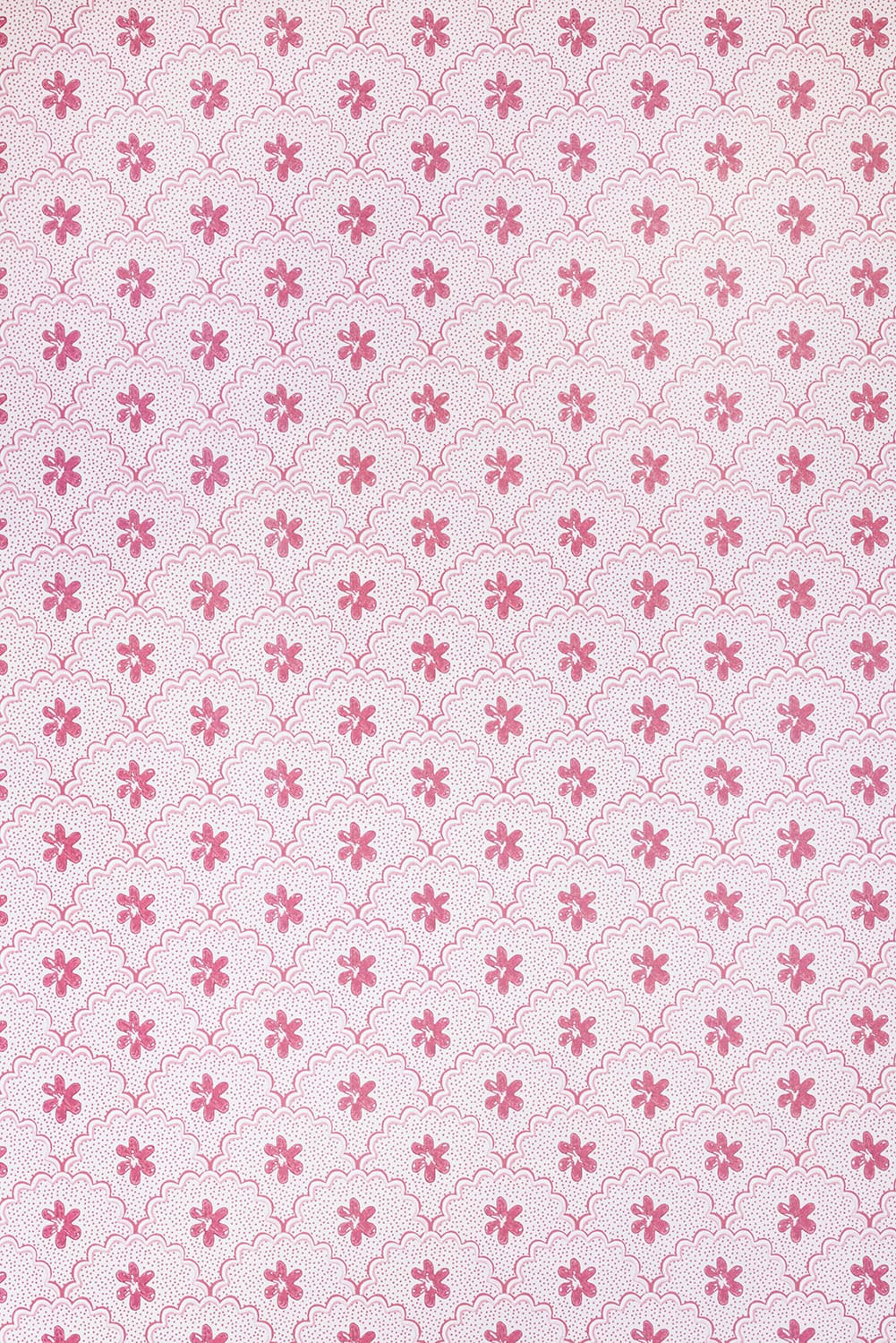 Daisy Scallops Wallpaper - Pink - Barneby Gates