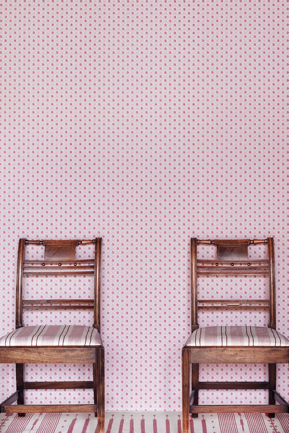 Daisy Scallops Wallpaper - Pink - Barneby Gates