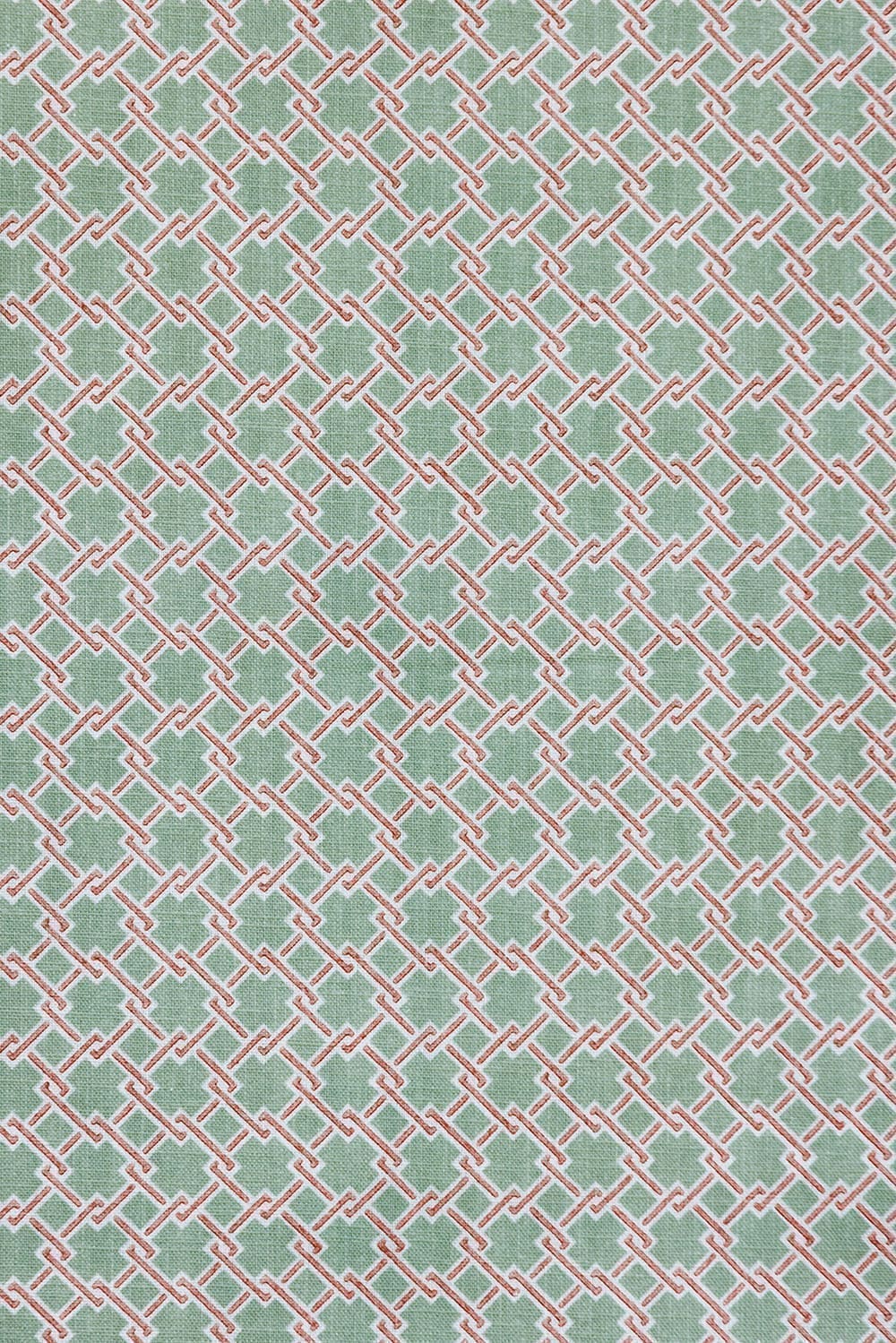 Lattice Cane Fabric - Green - Barneby Gates