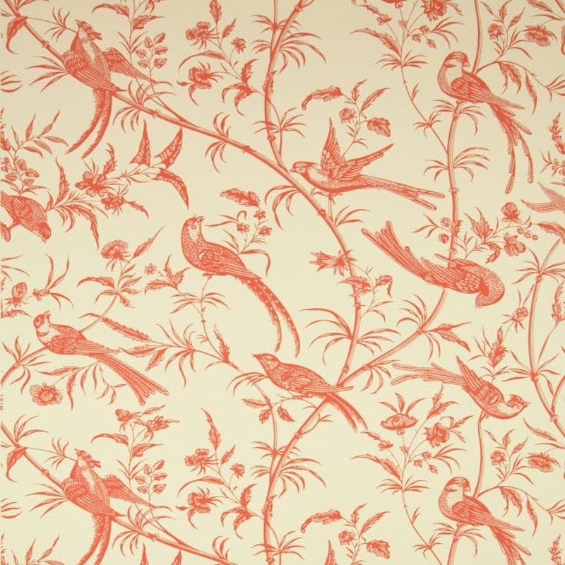 Bengali Rose Wallpaper - Brunschwig & Fils