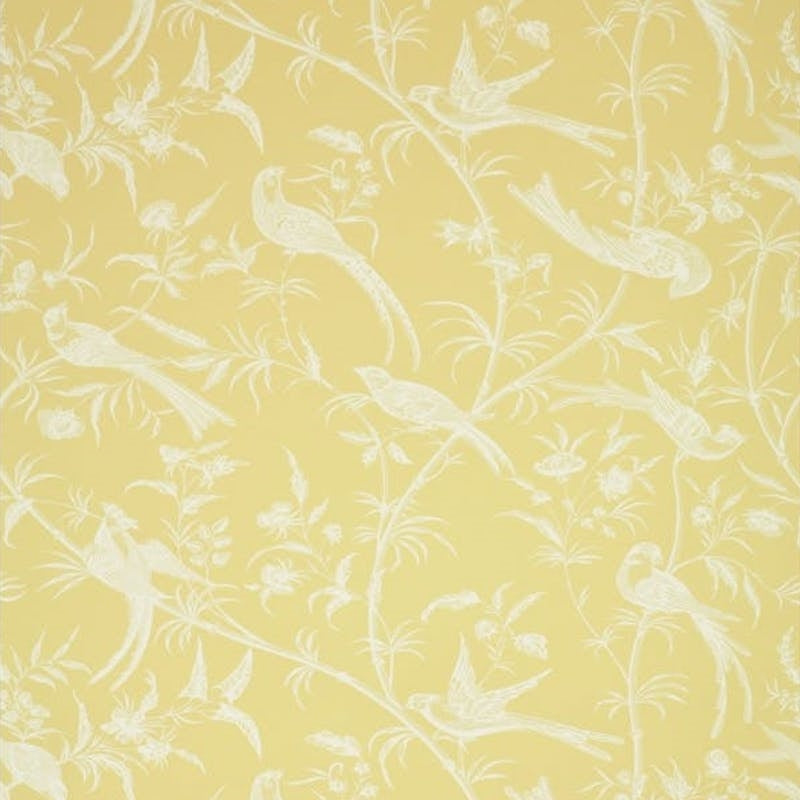 Bengali Mimosa Wallpaper - Brunschwig & Fils