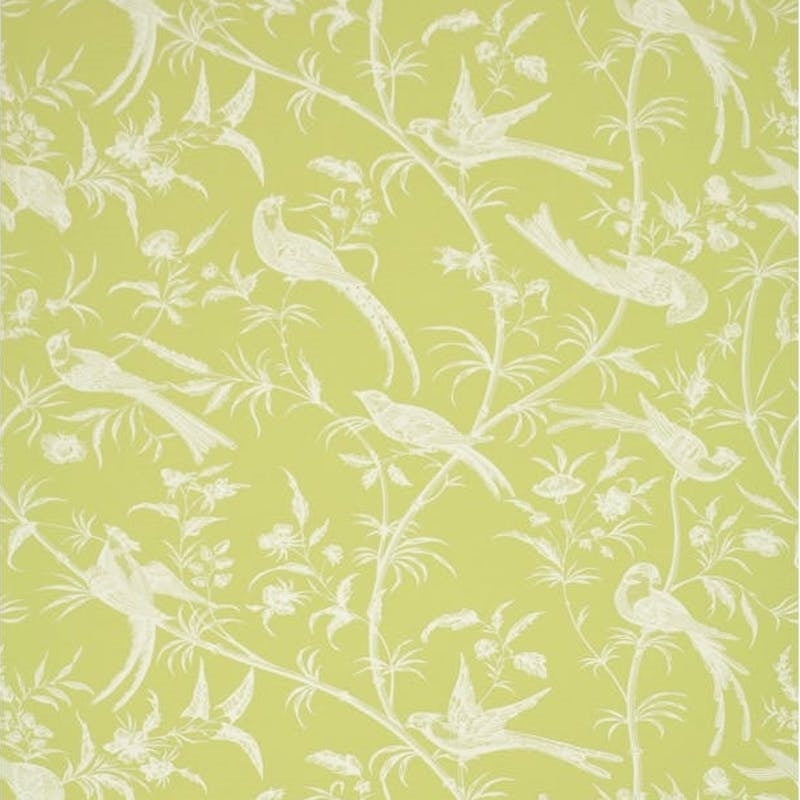 Bengali Pistachio Wallpaper - Brunschwig & Fils