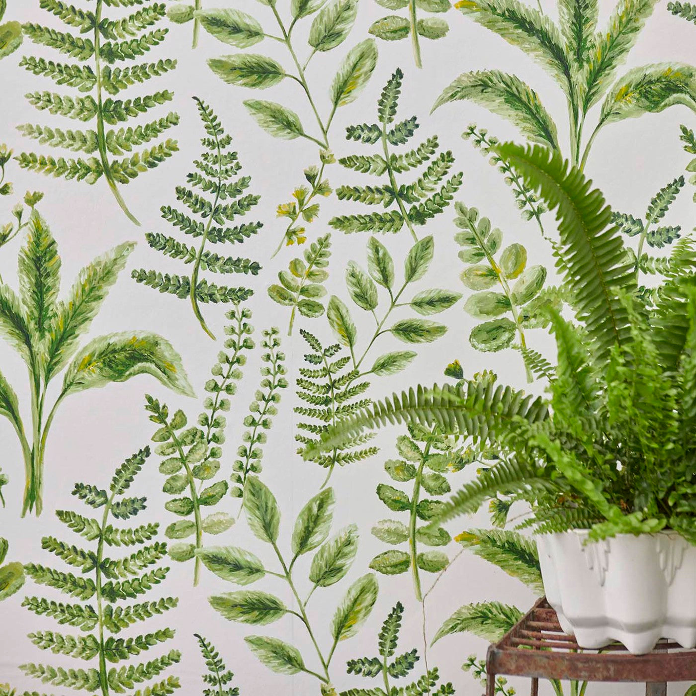 Bracken Wallpaper - Forest - Clarke & Clarke