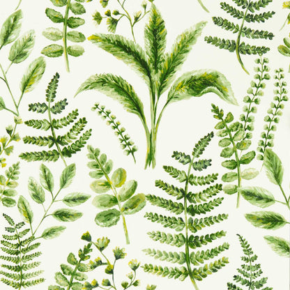 Bracken Wallpaper - Forest - Clarke & Clarke