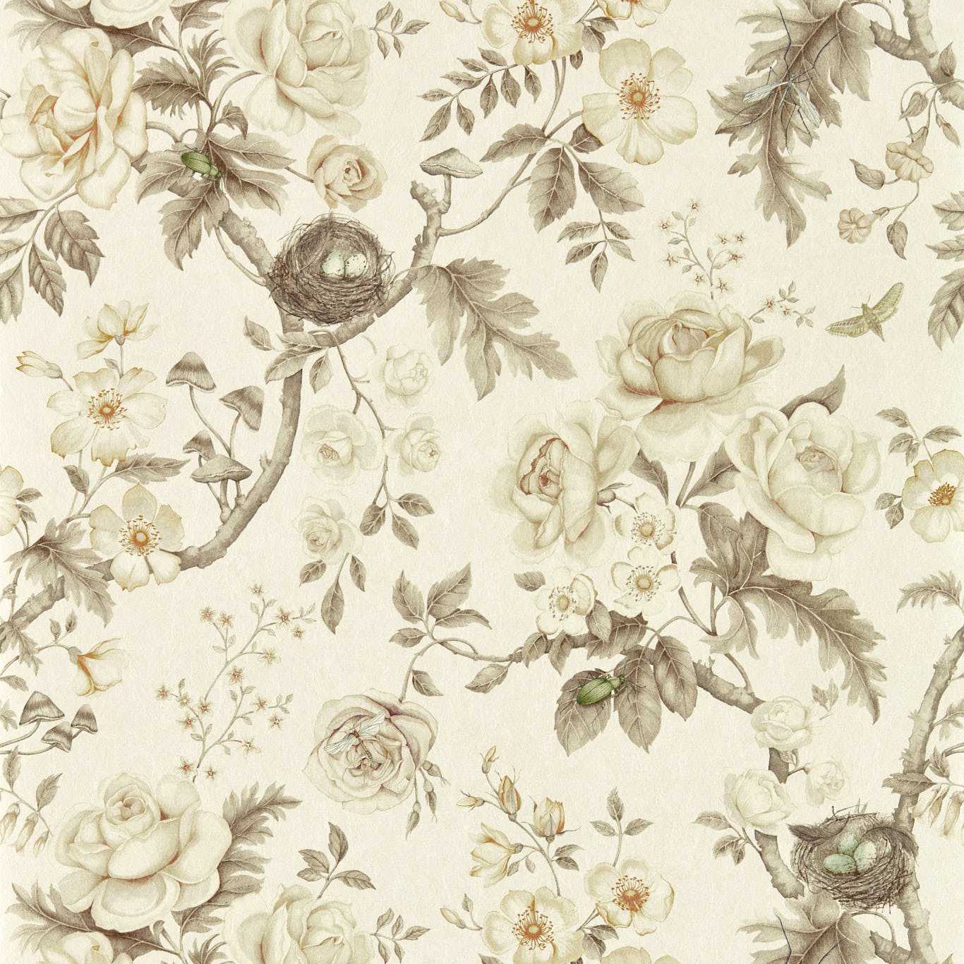 Tansy Bloom Oyster Wallpaper - Gray - Sanderson