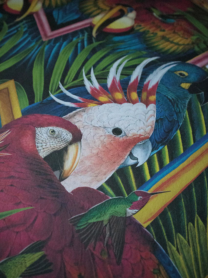 Divine Plumage Room Wallpaper - Multicolor
