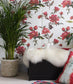 Gypsy Wallpaper - Glacier White - Petronella Hall