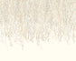 Cascading Willow Wallpaper - Parchment - Ohpopsi