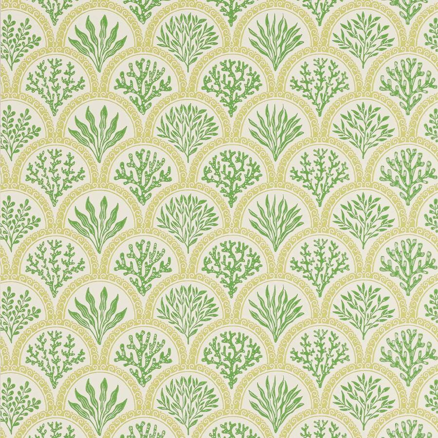 Coralli Wallpaper - Green - Jane Churchill