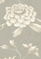 Jasper Peony Wallpaper - Gray - Lewis & Wood