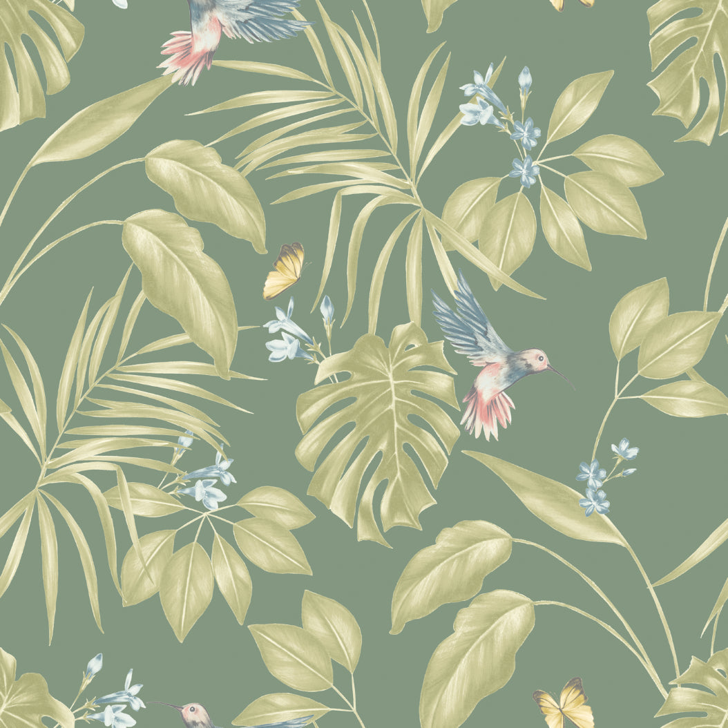 Hummingbird Wallpaper - Forest - Ohpopsi
