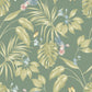 Hummingbird Wallpaper - Forest - Ohpopsi