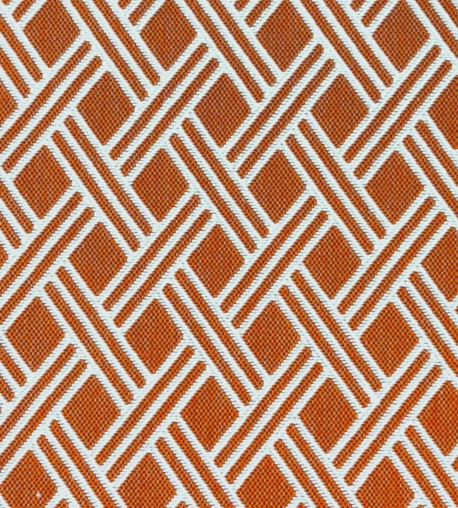 Dorcas Fabric - Orange - Gaston y Daniela