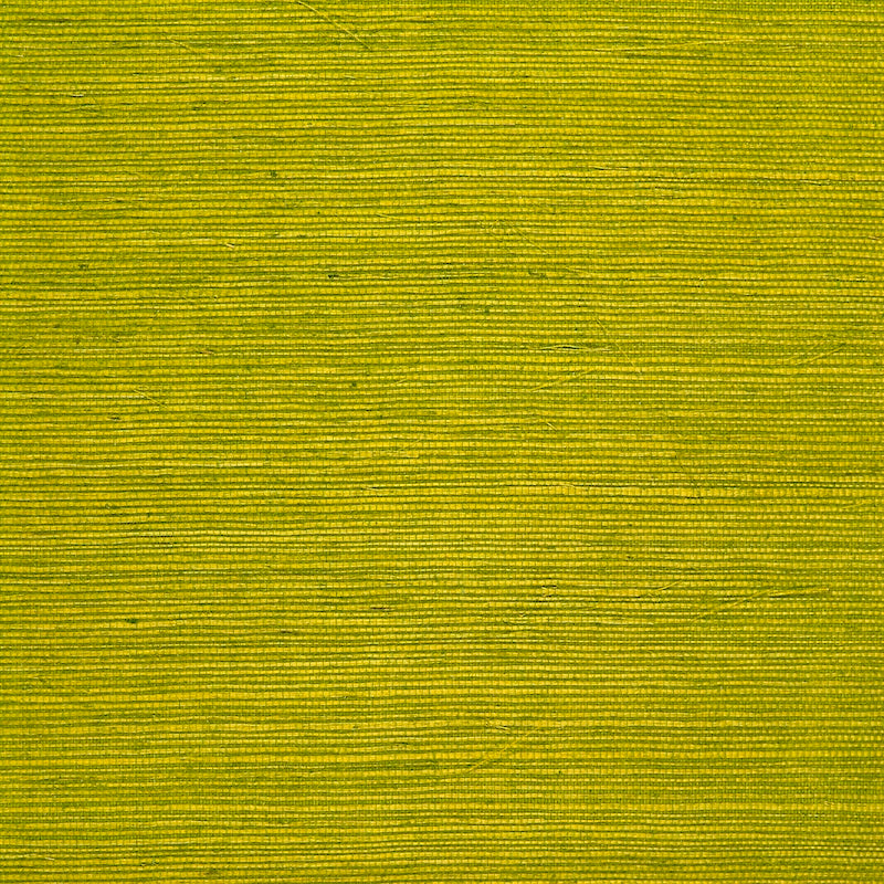 Niyodo Chartreuse Wallpaper - Brunschwig & Fils