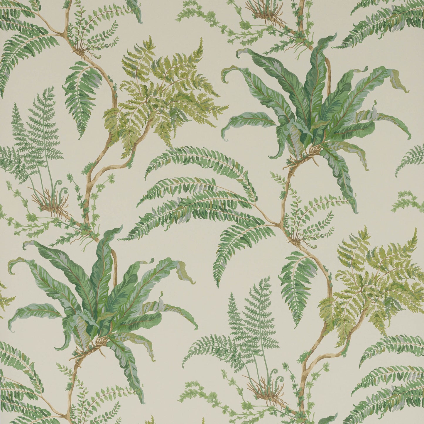 Woodfern Wallpaper - Green - Colefax & Fowler