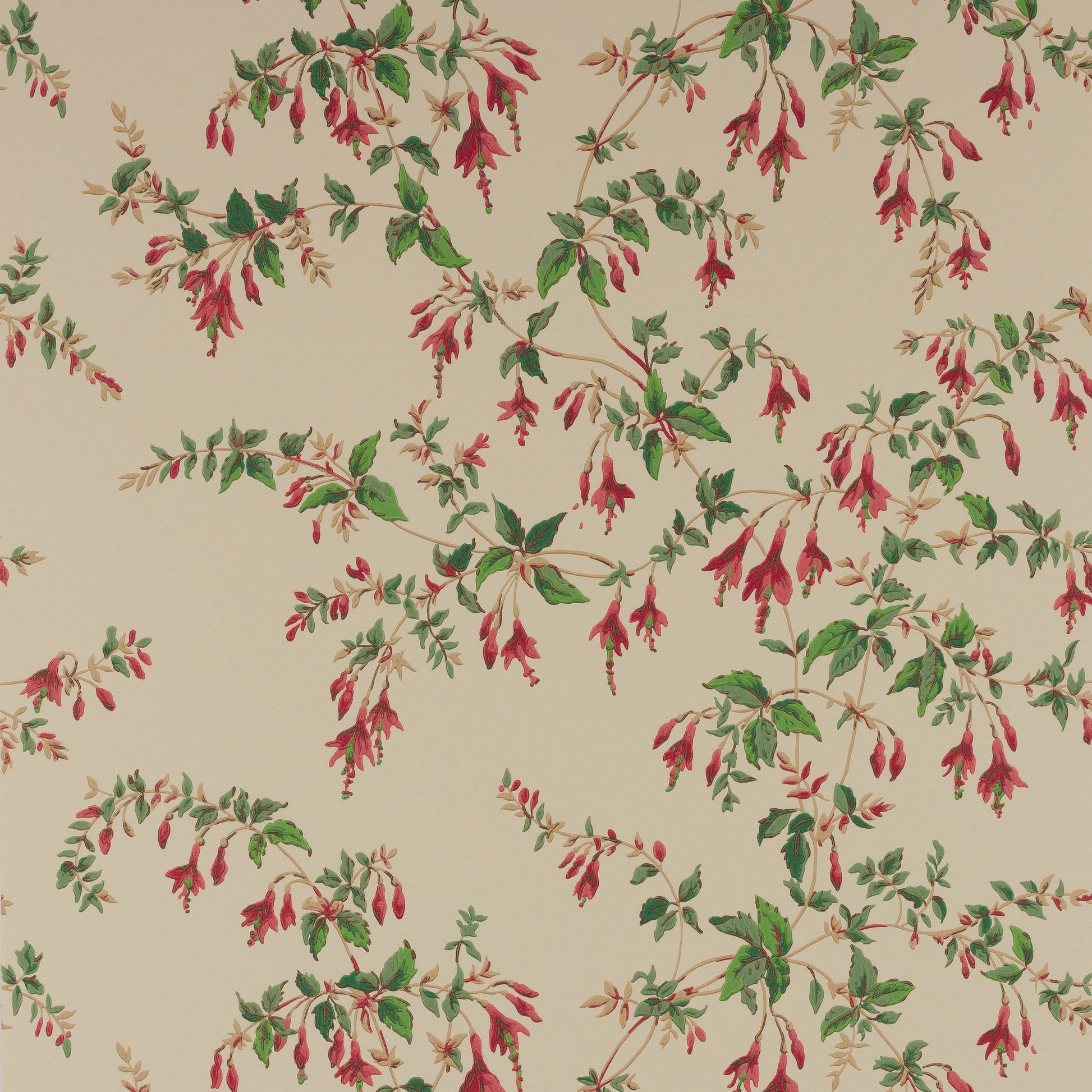 Fuchsia Wallpaper - Multicolor - Colefax & Fowler