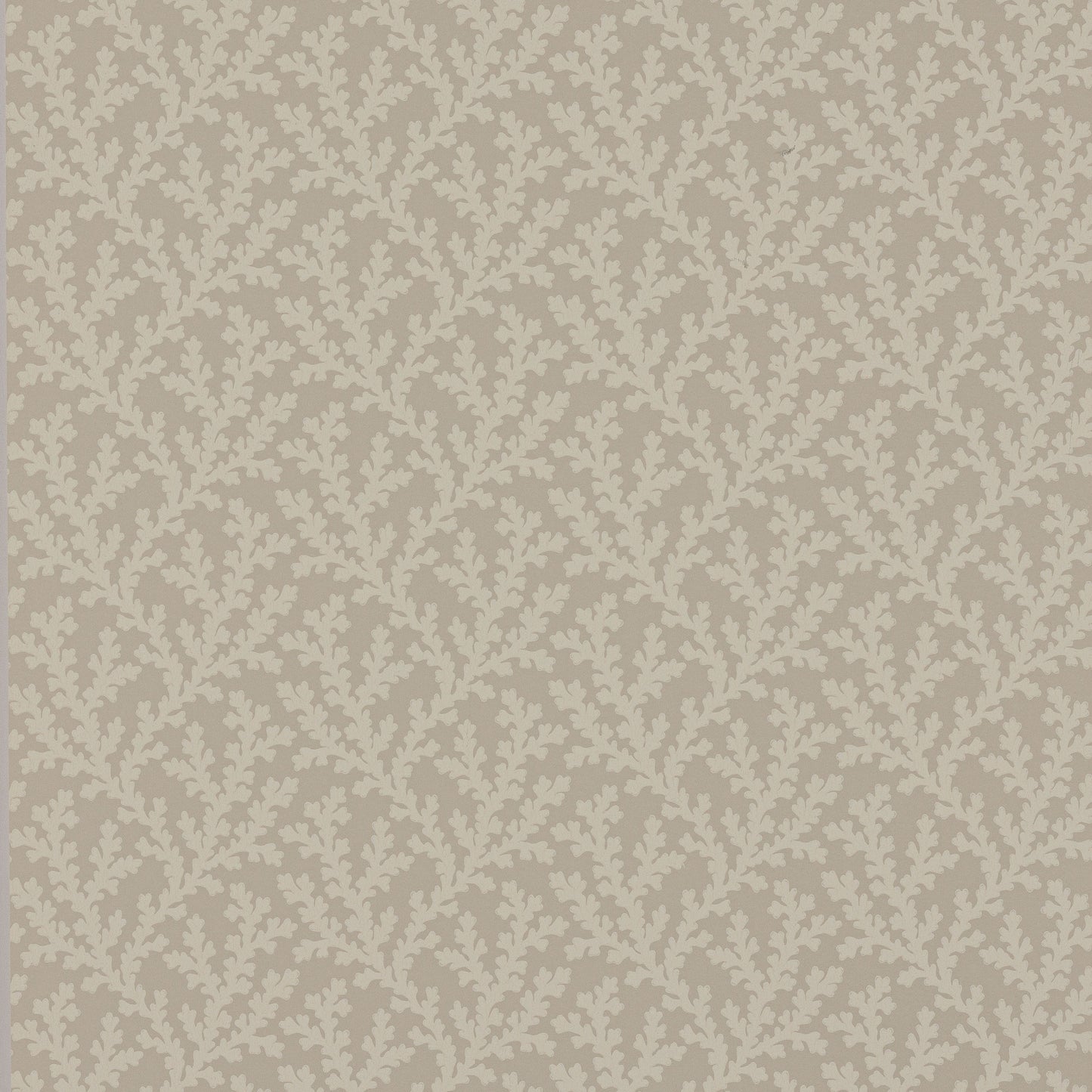 Sea Coral Wallpaper - Cream - Colefax & Fowler