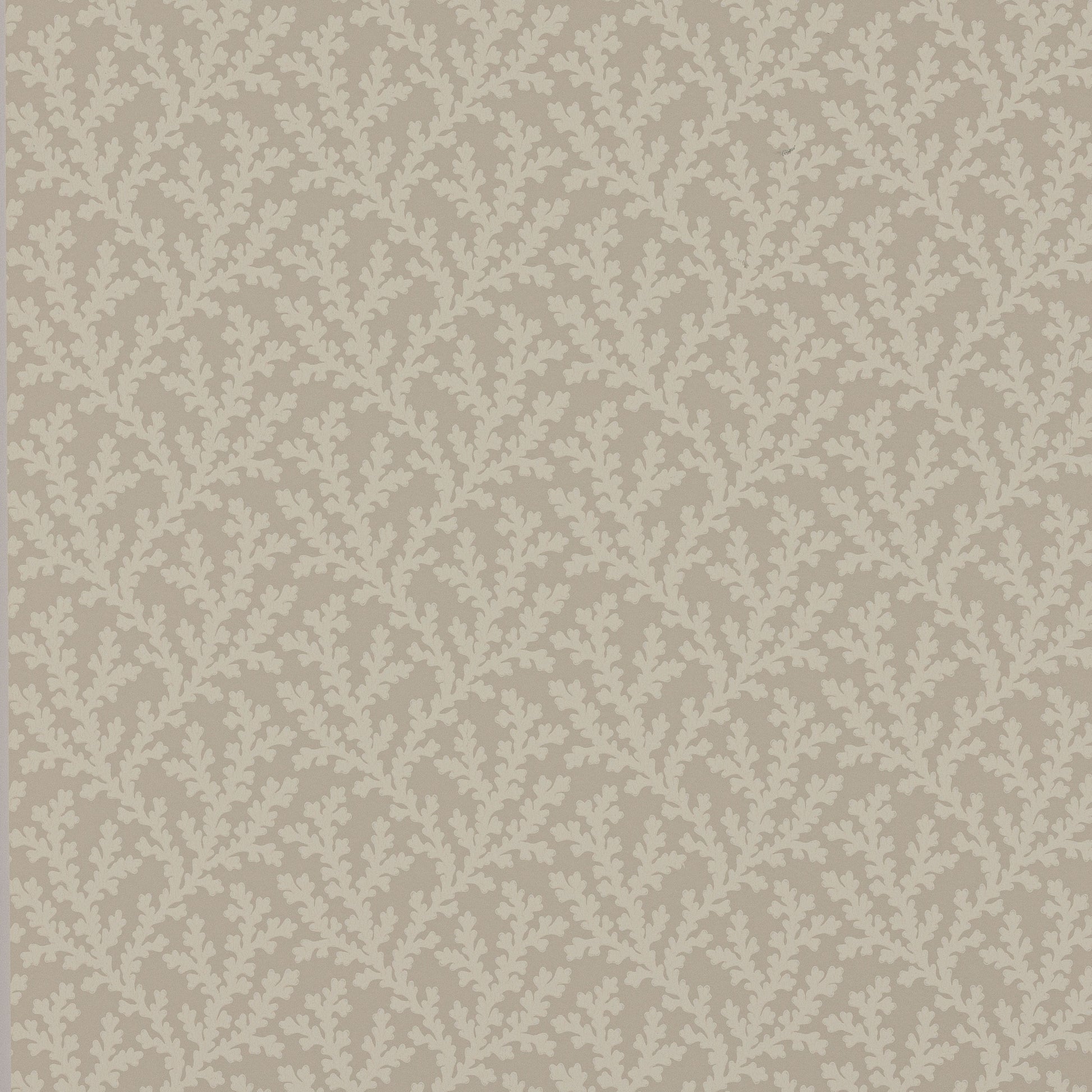 Sea Coral Wallpaper - Cream - Colefax & Fowler