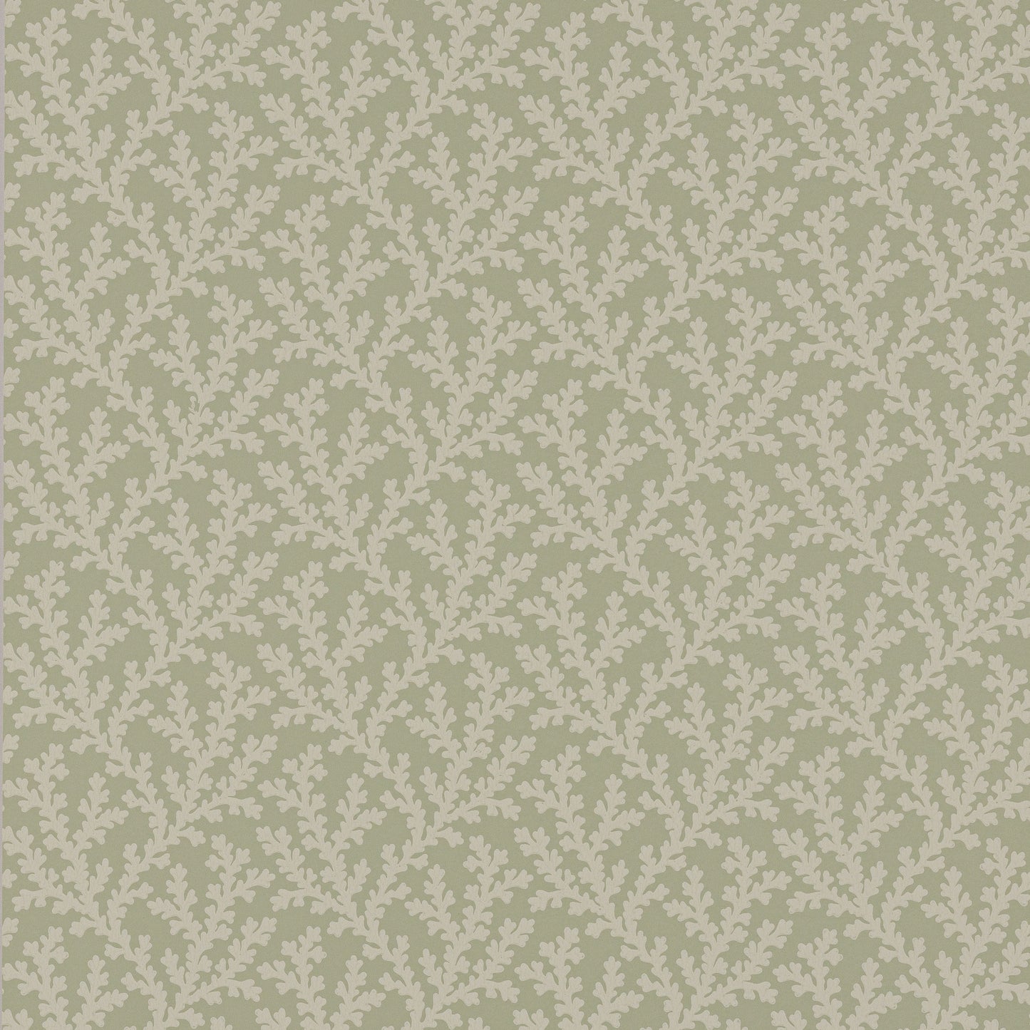 Sea Coral Wallpaper - Gray - Colefax & Fowler