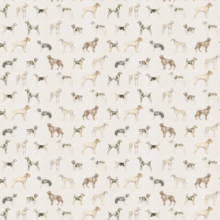 Walkies Cream Fabric