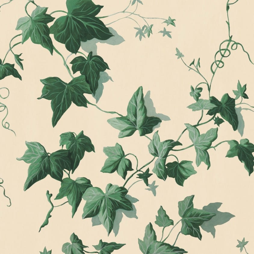 HEDERA Wallpaper - Green - House of Hackney