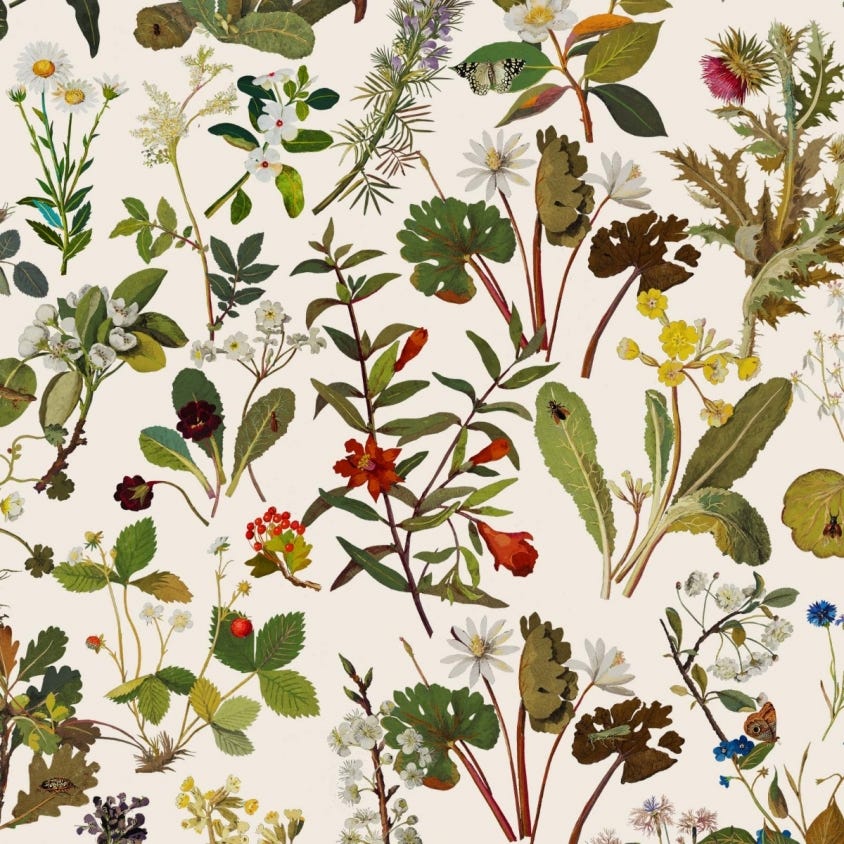 HERBARIUM Wallpaper - Green - House of Hackney