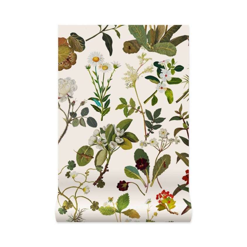 HERBARIUM Wallpaper - Green - House of Hackney