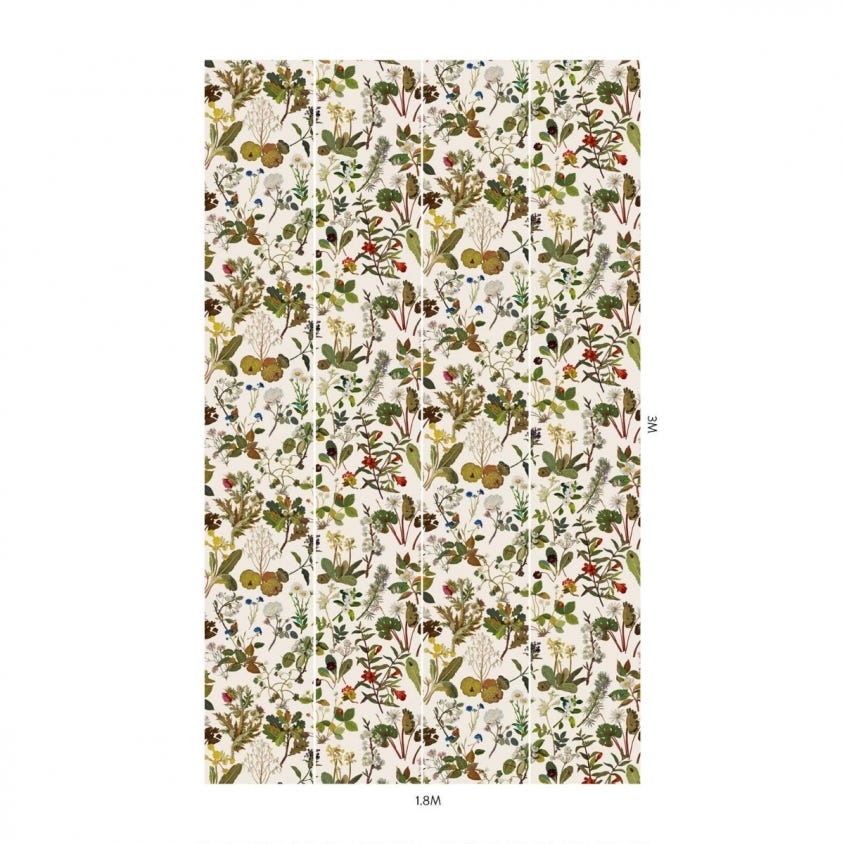 HERBARIUM Wallpaper - Green - House of Hackney