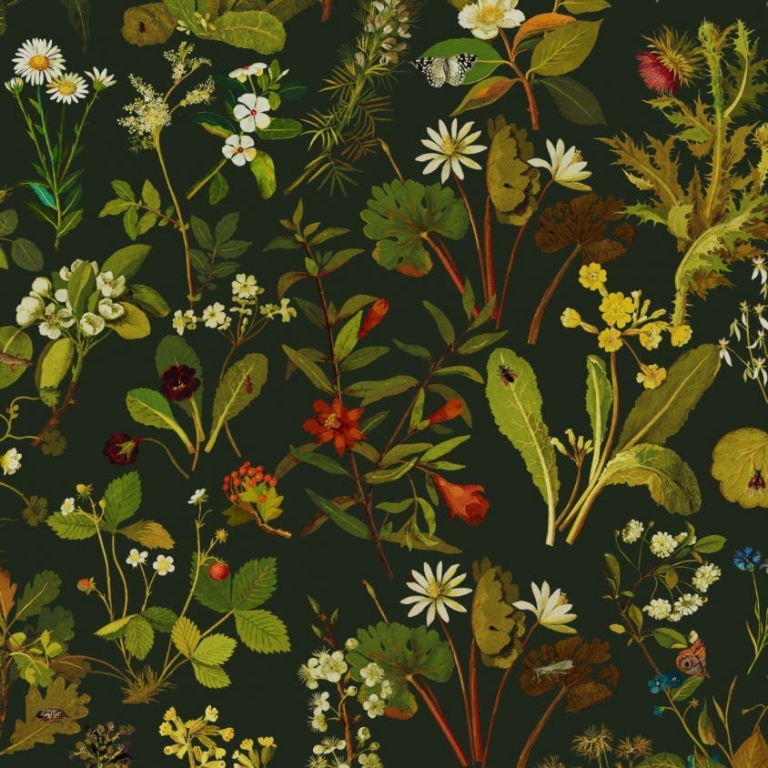 HERBARIUM Wallpaper - Green - House of Hackney