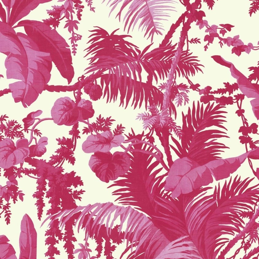 PAMPAS Wallpaper - Pink - House of Hackney