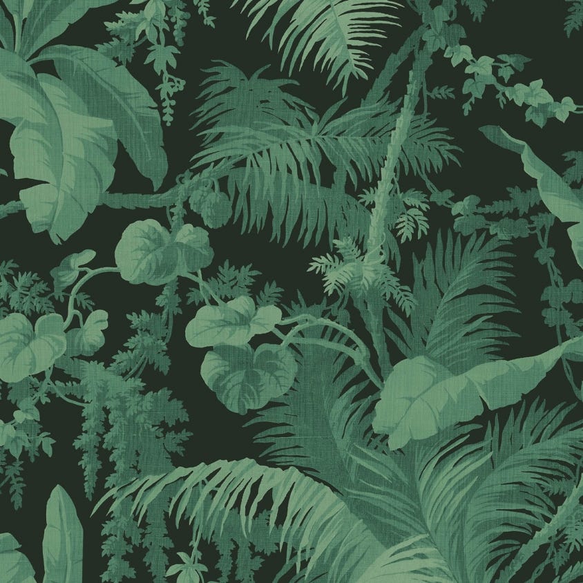 PAMPAS Wallpaper - Green - House of Hackney