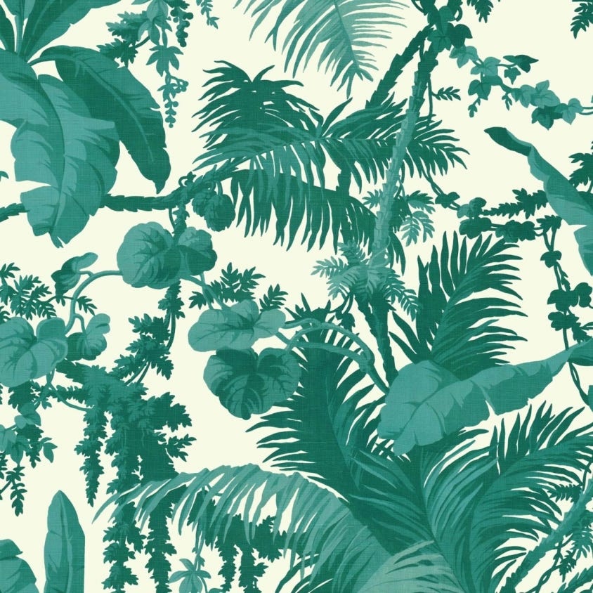 PAMPAS Wallpaper - Green - House of Hackney