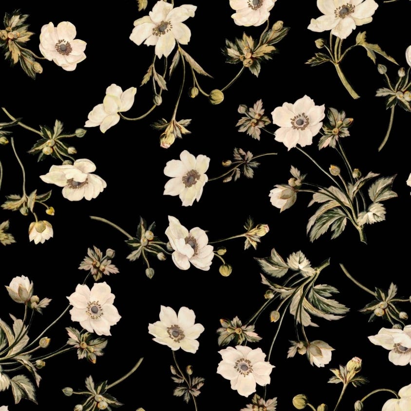 POPPIUM Wallpaper  - Black - House of Hackney