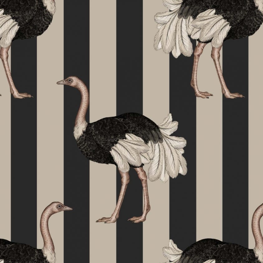 PRIDE Wallpaper - Black - House of Hackney