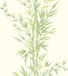 Bamboo Wallpaper - Green - Cole & Son