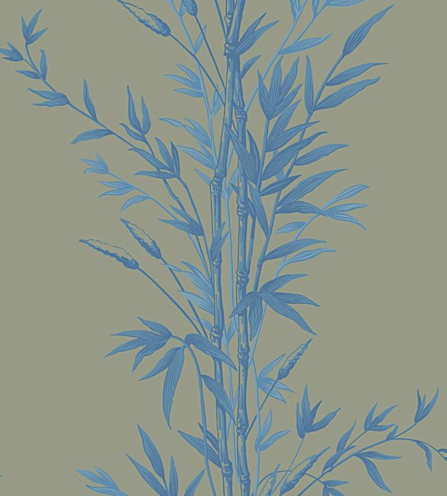 Bamboo Wallpaper - Blue - Cole & Son