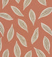 Gabon Wallpaper - Orange