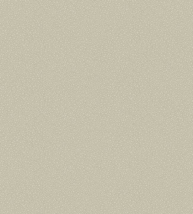 Pebble Wallpaper - Cream - Cole & Son