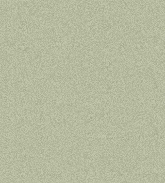 Pebble Wallpaper - Green - Cole & Son