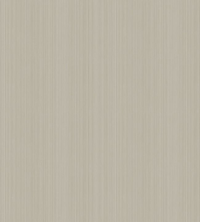 Jaspe Wallpaper - Gray - Cole & Son