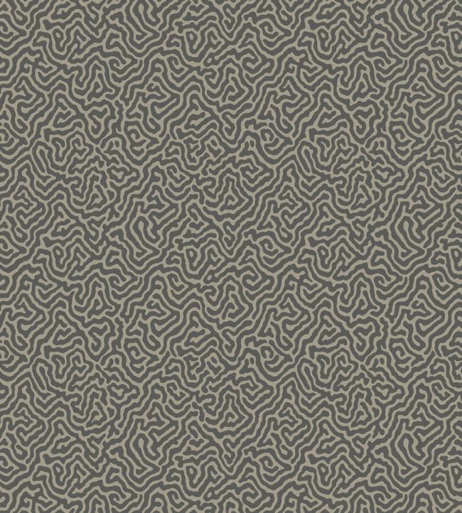 Vermicelli Wallpaper - Gray - Cole & Son