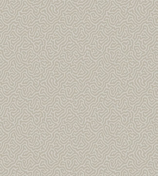 Vermicelli Wallpaper - White - Cole & Son