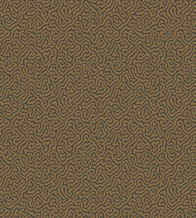 Vermicelli Wallpaper - Brown - Cole & Son